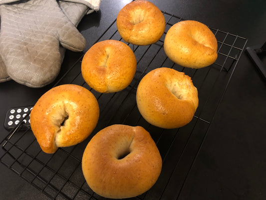 Homemade Hand Rolled Sourdough Bagel