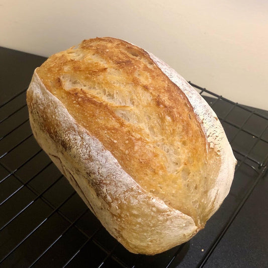 Homemade Wholemeal Sourdough 自制野酵全麦面包 ~500g
