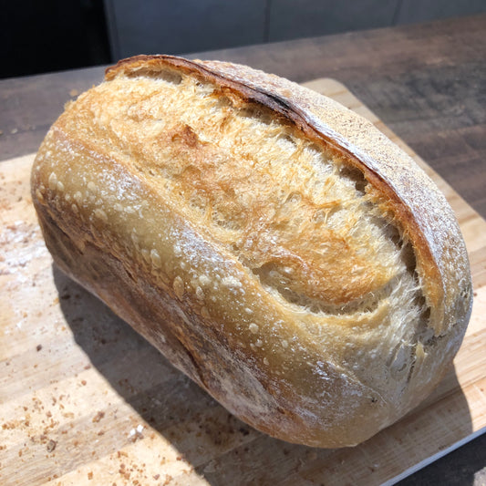 Homemade Rye Wholemeal Sourdough 自制野酵黑麦全麦面包 ~500g