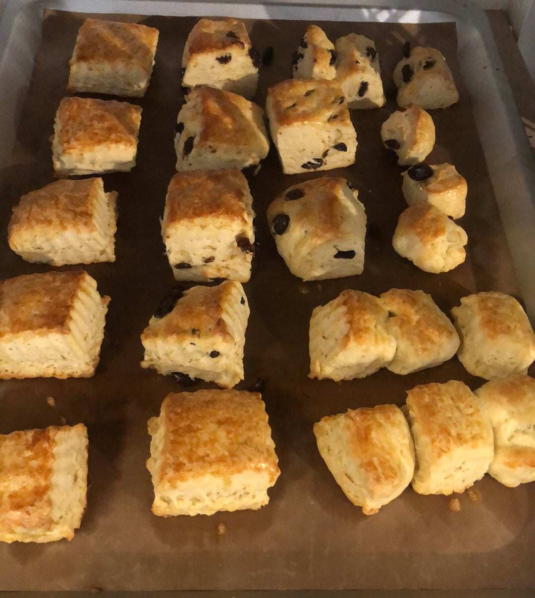 Sourdough Scones 野酵司康 ~250g