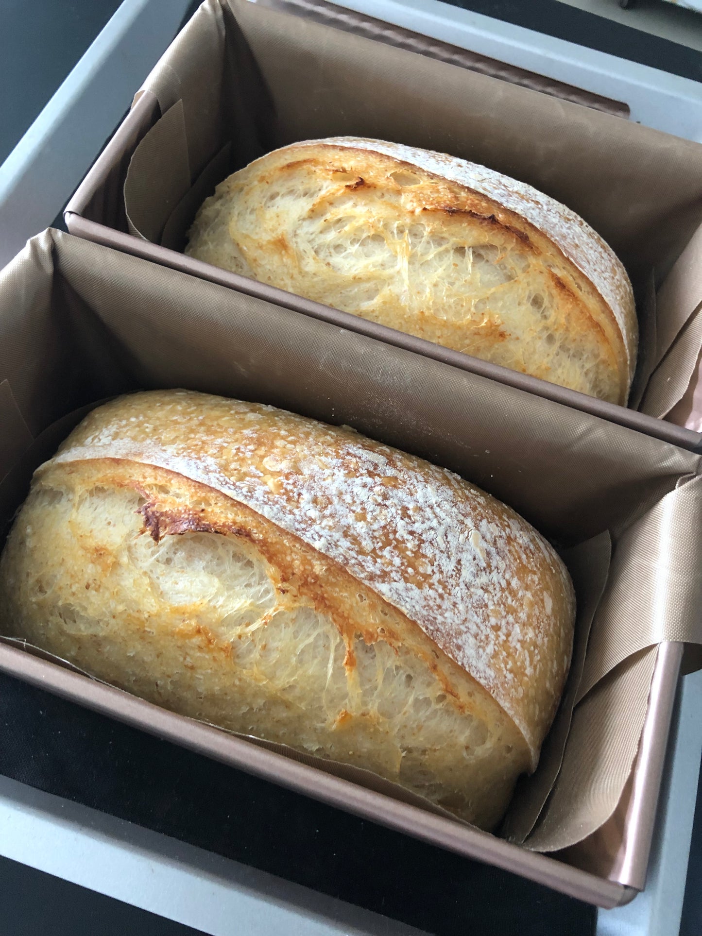 Homemade Wholemeal Sourdough 自制野酵全麦面包 ~500g