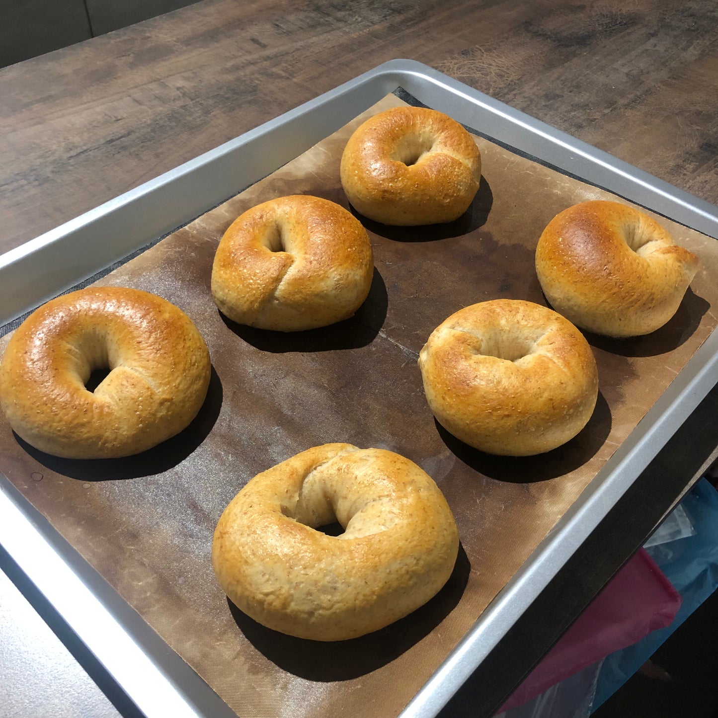 Homemade Hand Rolled Sourdough Bagel
