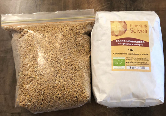 Hulled Organic Einkorn 500g Farro Monococco Decorticato Bio 有机单粒小麦 Italy Free Mill
